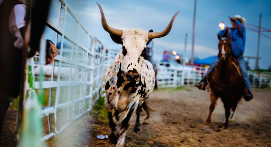 Photo by Travel South Dakota 22 Photo by Travel South Dakota 22